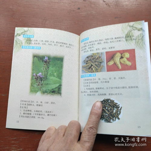 《中醫(yī)養(yǎng)生保健服務(wù)指南 婦女、高血壓及中醫(yī)基礎(chǔ)三冊(cè)精要》